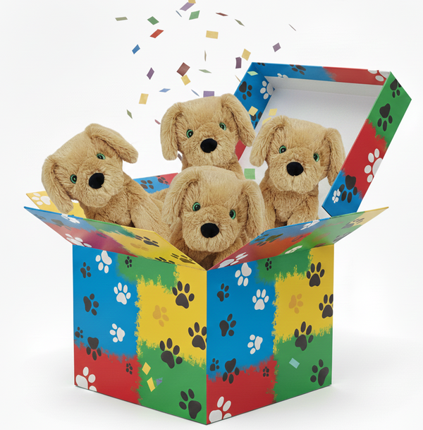 Colorful box with paw prints containing three plush dogs, confetti falling.
