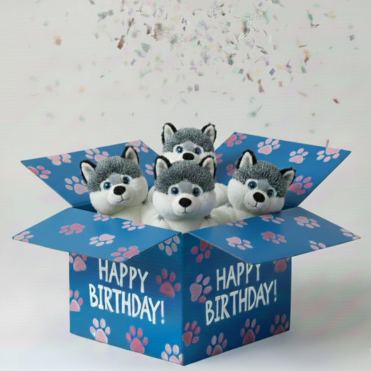 Three plush husky toys in a blue 'Happy Birthday!' box with paw prints on a light gray background.